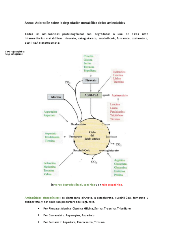 Miniatura del documento annexo prot.pdf