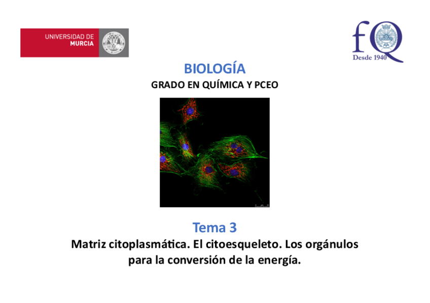 Miniatura del documento Tema-3.pdf
