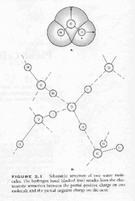 Miniatura del documento T02-EL-AGUA-EN-LA-PLANTA.pdf