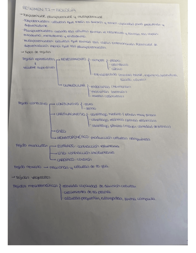 Miniatura del documento Esquema-T2-Biologia-.pdf
