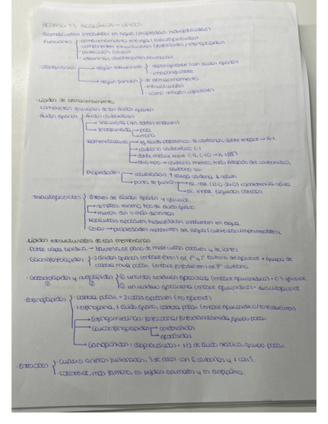 Miniatura del documento Esquema-T3-Biologia-.pdf