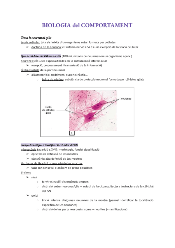Miniatura del documento T1-T13 (català).pdf