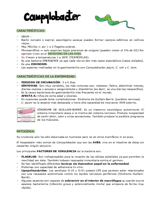 Miniatura del documento CAMPYLOBACTER.pdf