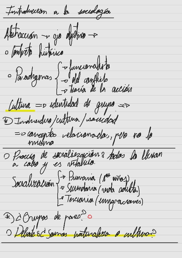 Miniatura del documento Notas introd. Sociología.pdf