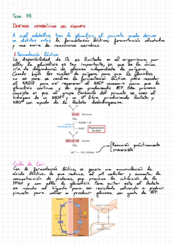 Miniatura del documento Tema-7B.pdf