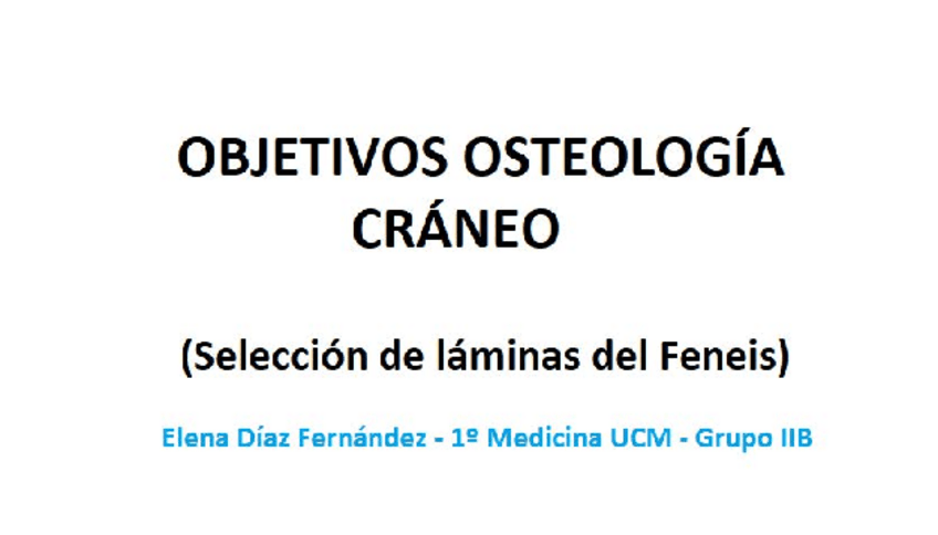 Miniatura del documento Osteología feneis.pdf