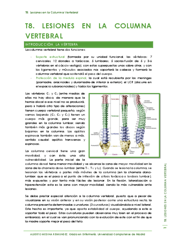Miniatura del documento T8. Lesiones en la Columna Vertebral.pdf