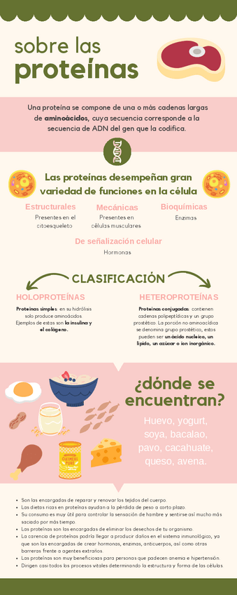 Miniatura del documento Infografia-Proteinas.pdf