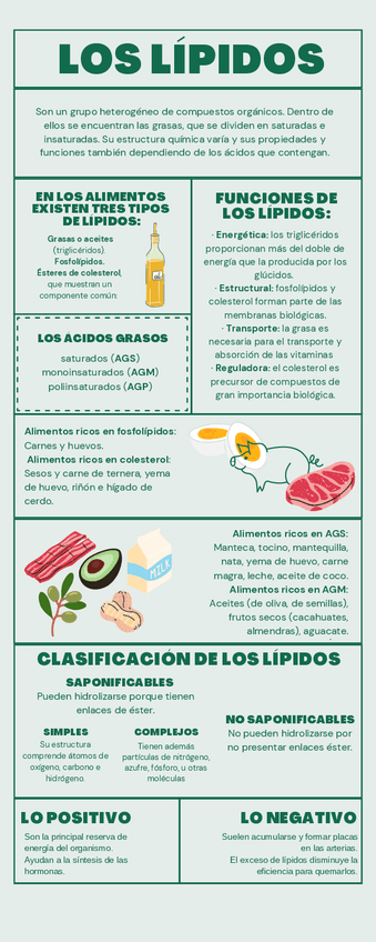 Miniatura del documento Infografia-Lipidos.pdf