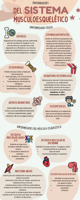 Miniatura del documento Infografia-Musculo-Esqueletico.pdf