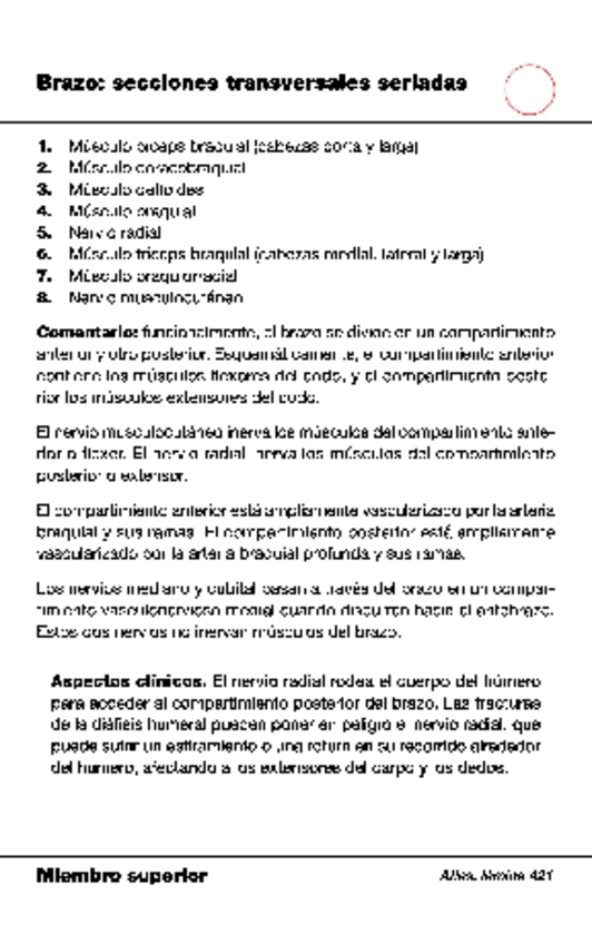 Miniatura del documento Musculos-del-brazo.pdf