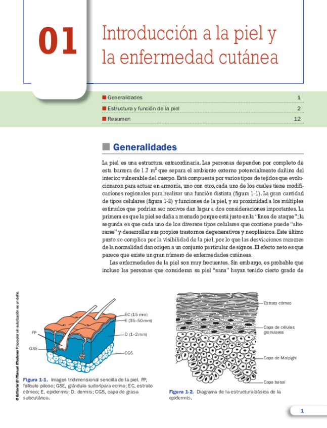 Miniatura del documento Introduccion-a-la-piel-y-la-enfermedad-cutanea.pdf