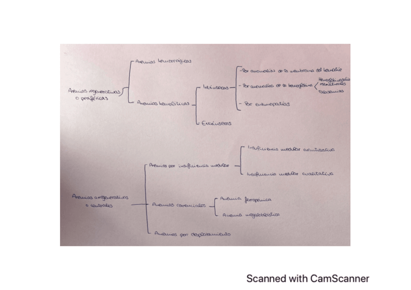 Miniatura del documento Esquema-anemias-regenerativas-y-arregenetativas.pdf