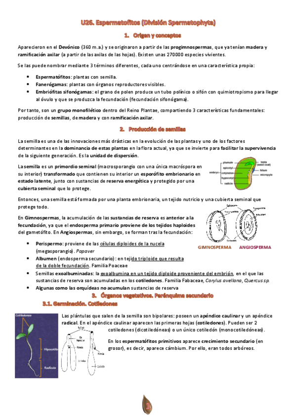 Miniatura del documento Tema-26.pdf