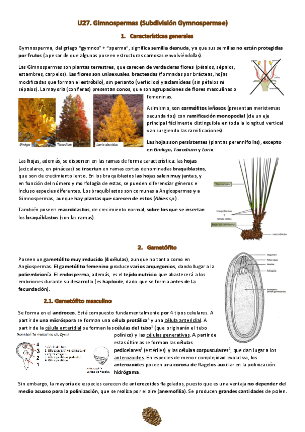Miniatura del documento Tema-27.pdf