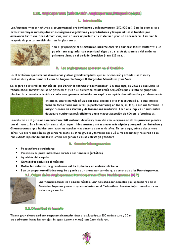 Miniatura del documento Tema-28.pdf