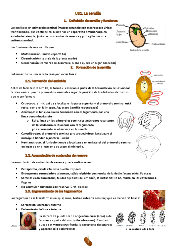 Miniatura del documento Tema-31.pdf