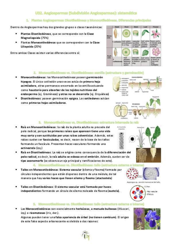 Miniatura del documento Tema-32.pdf