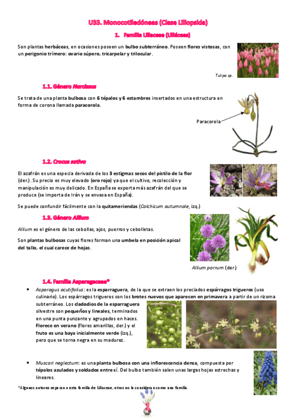 Miniatura del documento Tema-34.pdf