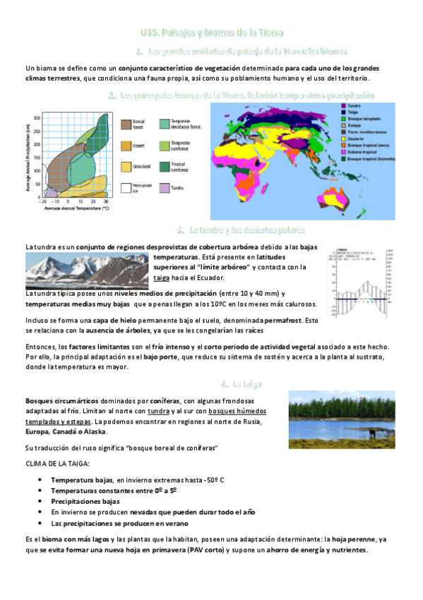 Miniatura del documento Tema-35.pdf