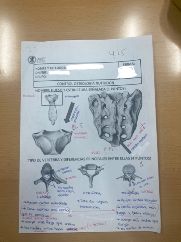 Miniatura del documento IMG1351.pdf