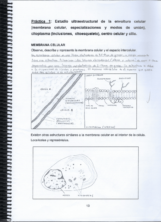 Miniatura del documento Practica-1.pdf