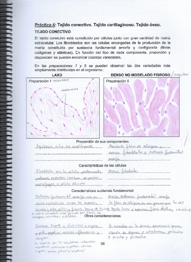 Miniatura del documento Practica-4.pdf