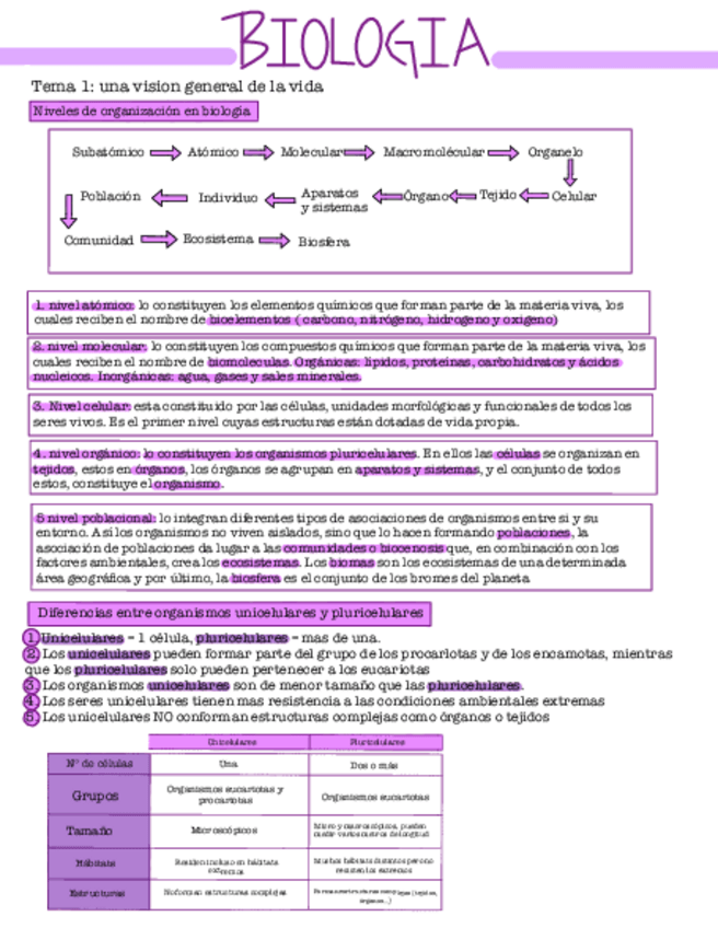 Miniatura del documento Resumen-apartados-importantes.pdf