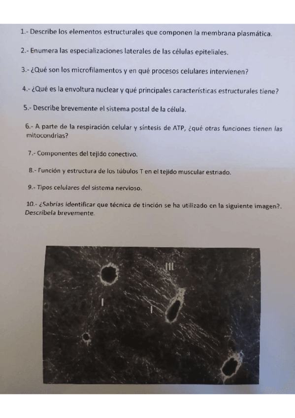 Miniatura del documento examen-biocel.pdf
