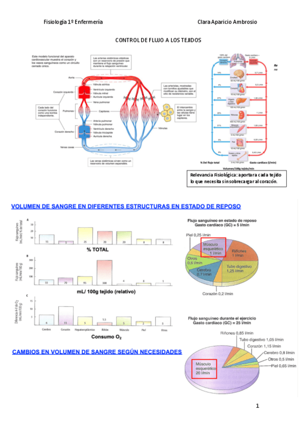 Miniatura del documento fisiologia-tema-circulatorio-t15-no-sale-en-los-apuntes.pdf