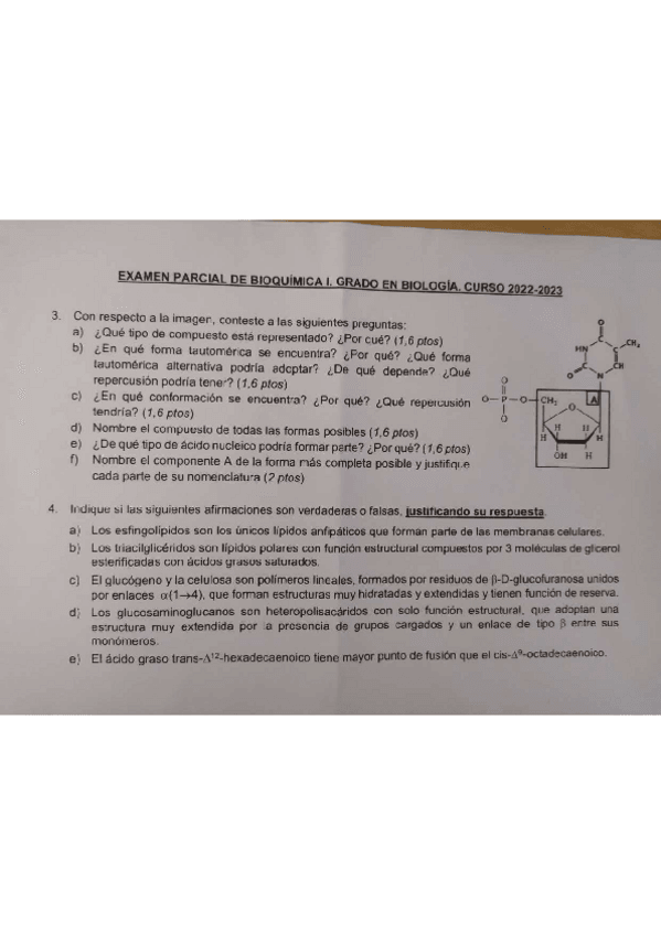 Miniatura del documento segundo-parcial-bioquimica.pdf