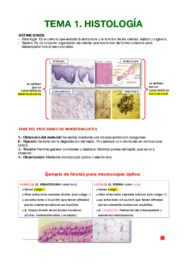 Miniatura del documento TISULAR.pdf