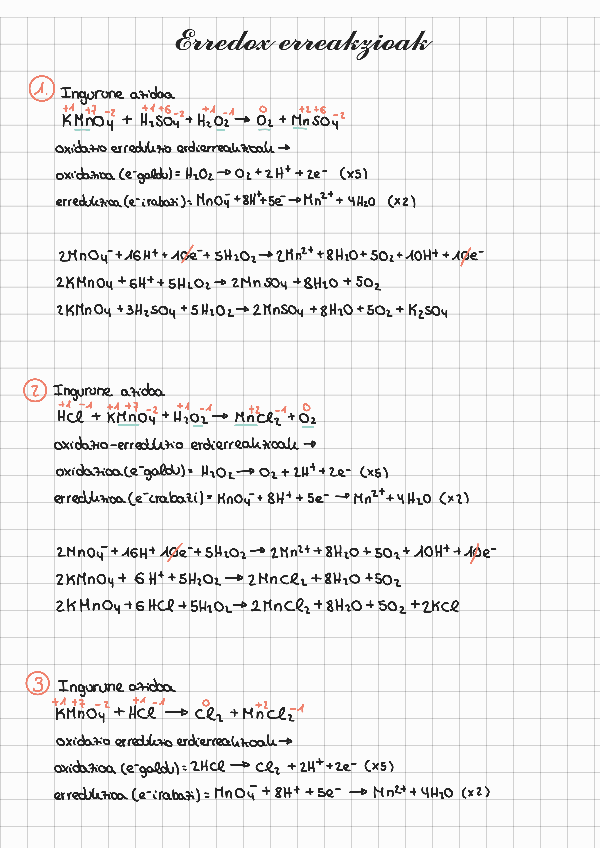 Miniatura del documento ERREDOX-ariketak-eginda.pdf