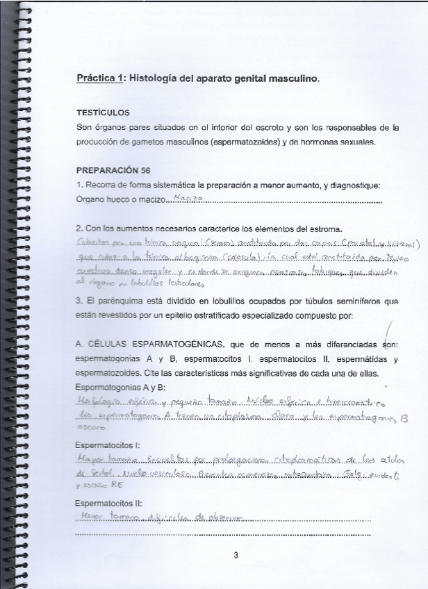Miniatura del documento Practica-1.pdf