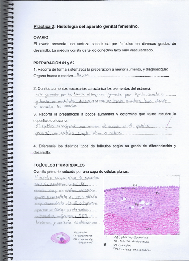 Miniatura del documento Practica-2.pdf
