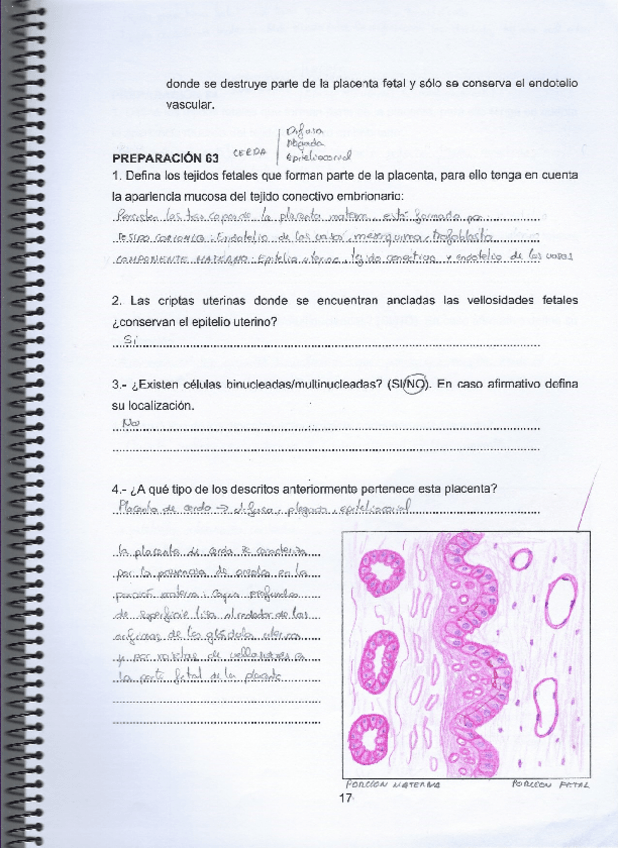 Miniatura del documento Practica-3.pdf