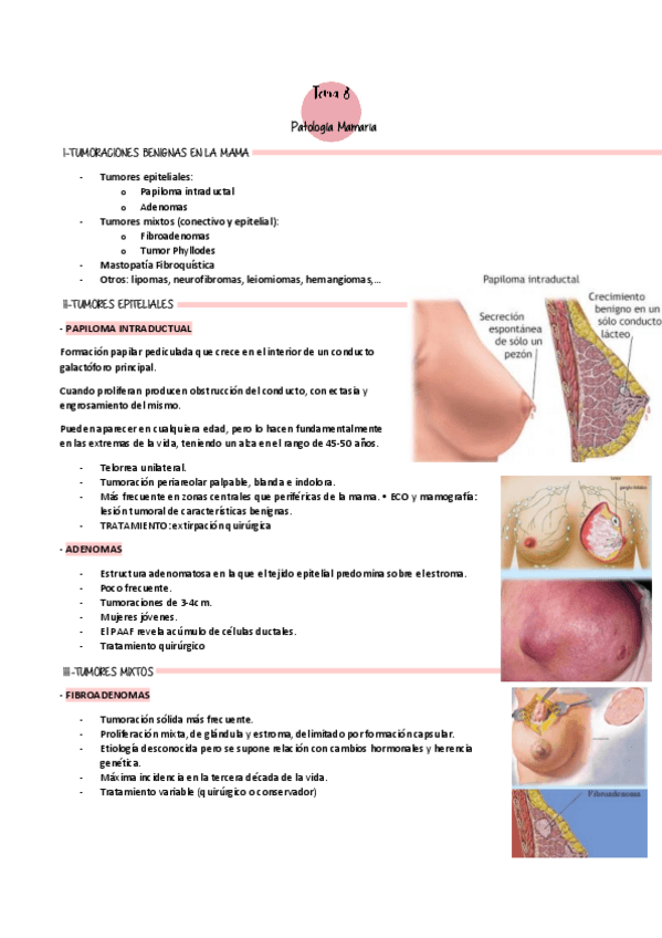 Miniatura del documento Tema-8.pdf