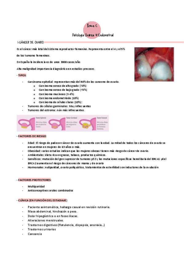 Miniatura del documento Tema-6.pdf