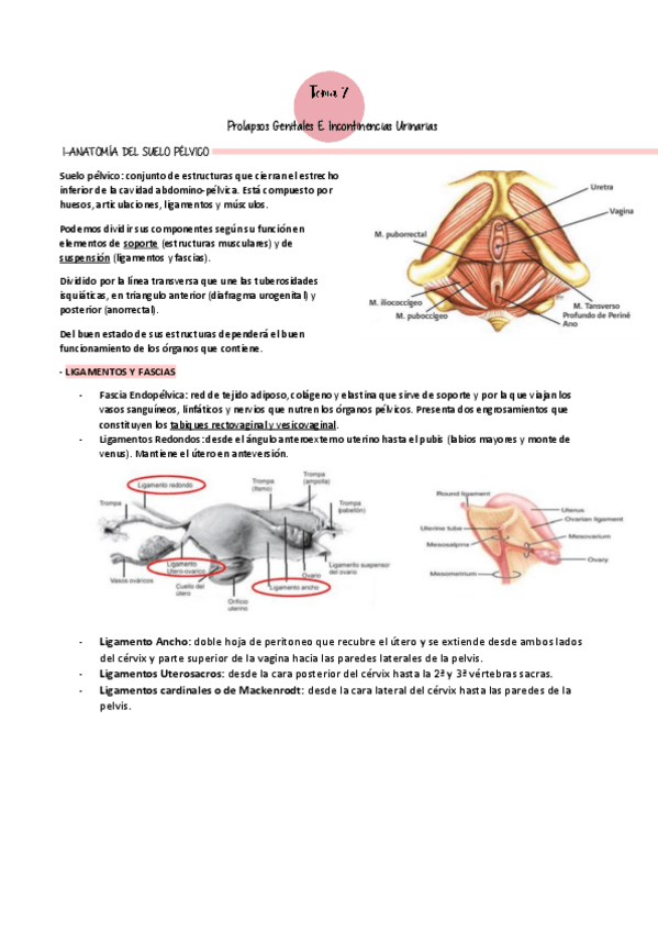 Miniatura del documento Tema-7.pdf