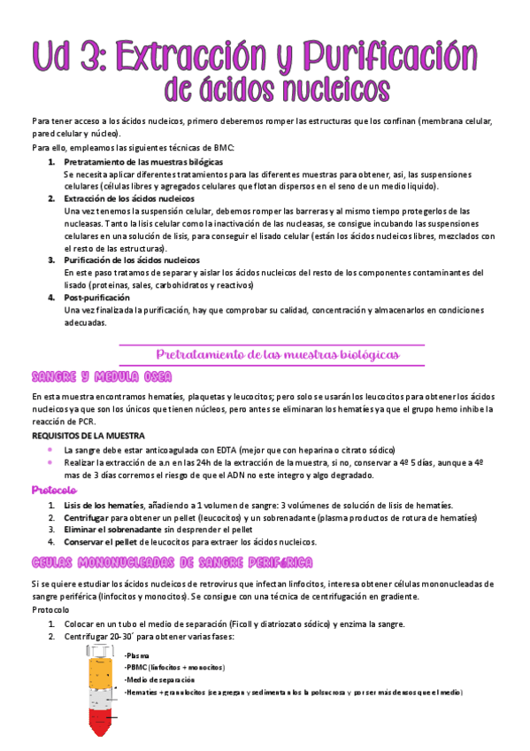 Miniatura del documento tema-3-BMC.pdf