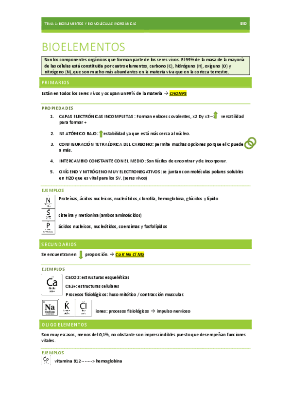 Miniatura del documento BIOELEMENTOS-Y-BIOMOLECULAS-TEMA-1-BIOLOGIA-EBAU.pdf