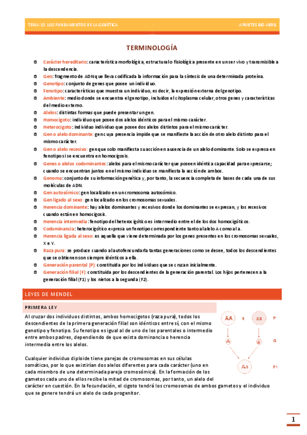 Miniatura del documento GENETICA-BASICA-TEMA-15-BIOLOGIA-EBAU.pdf