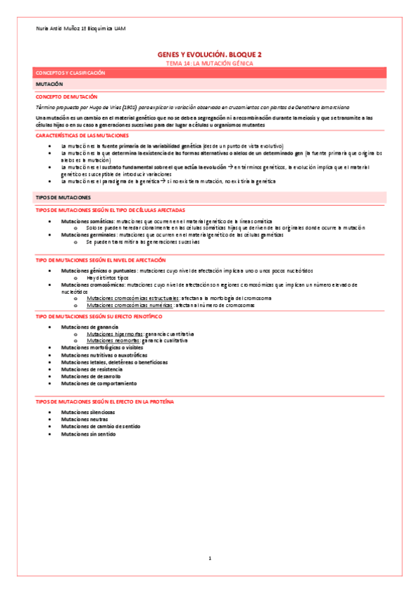 Miniatura del documento BLOQUE-2-GENES-Y-EVOLUCION-WUOLAH.pdf
