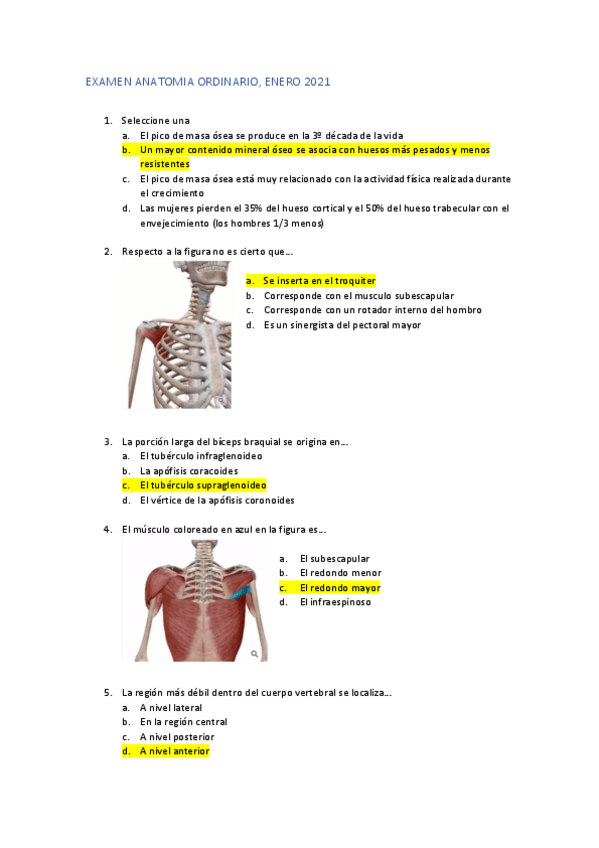 Miniatura del documento EXAMEN-ANATOMIA-ORDINARIO-2021.pdf