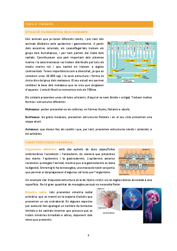 Miniatura del documento zoologia-2n-parcial.pdf