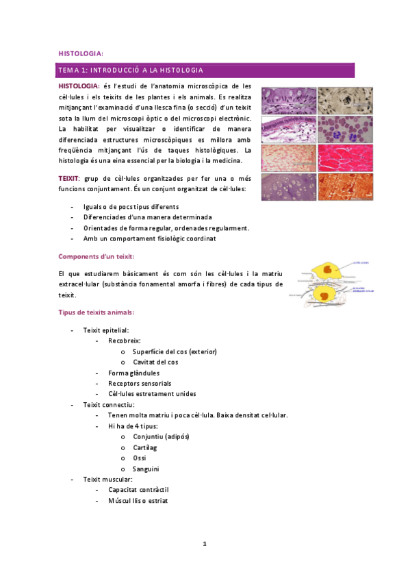 Miniatura del documento histologia-1r-parcial.pdf