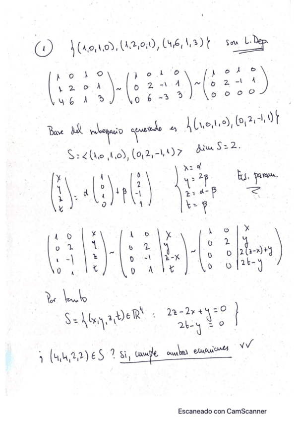 Miniatura del documento Soluciones-ENERO-2021.pdf