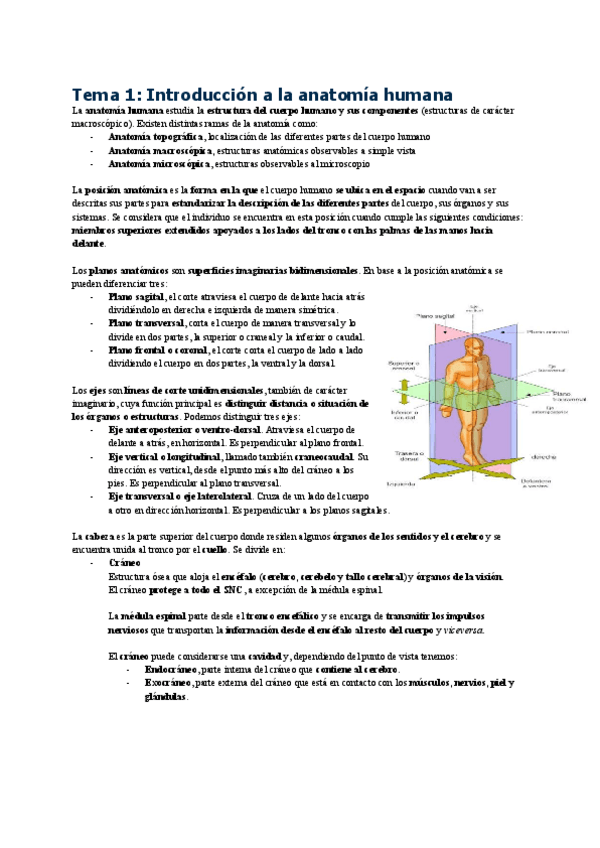 Miniatura del documento Tema1FisiopatologiaGeneral.pdf