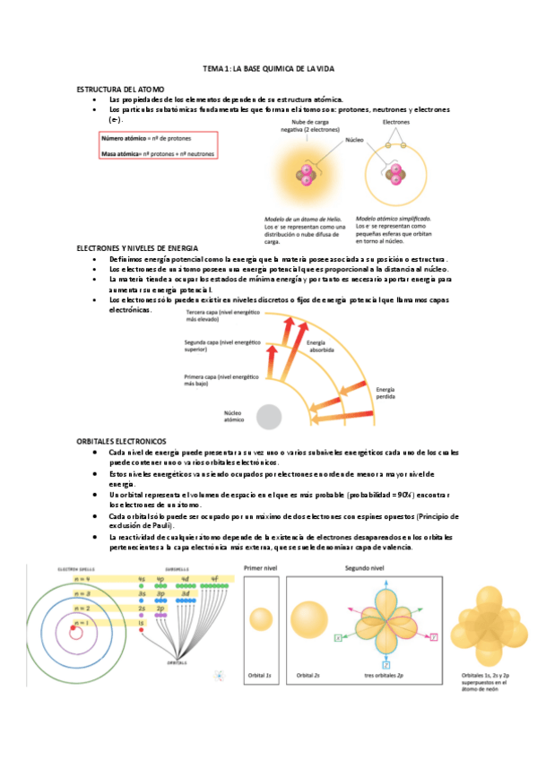 Miniatura del documento TEMA-1-BIOQUIMICA.pdf
