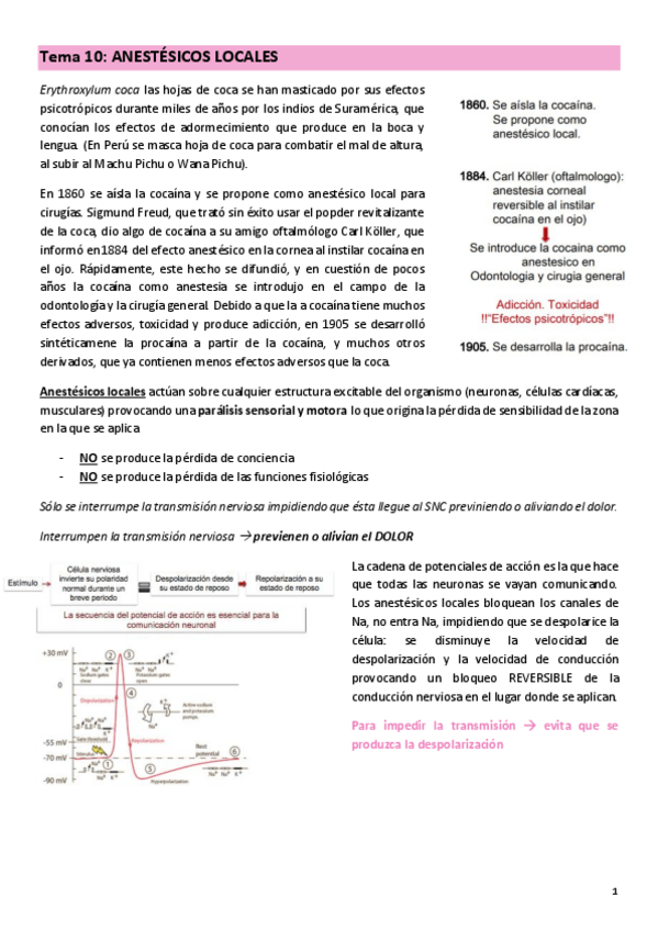 Miniatura del documento TEMA-10-farma.pdf